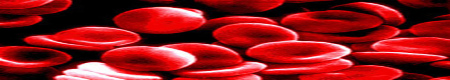 Ormus Minerals Cordycep Mushroom Benefit Blood Circulation