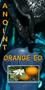 Ormus Minerals --Orange Anointing Oil