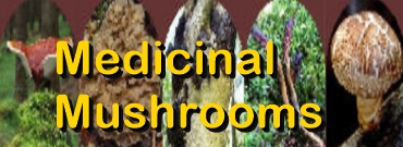 Ormus Minerals --Medicinal Mushroom Product