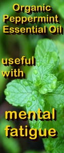Ormus Minerals --Organic PEPPERMINT Healing Ormus Oil benefit 